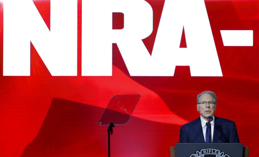 NRA re-elects Wayne LaPierre as CEO, despite financial woes