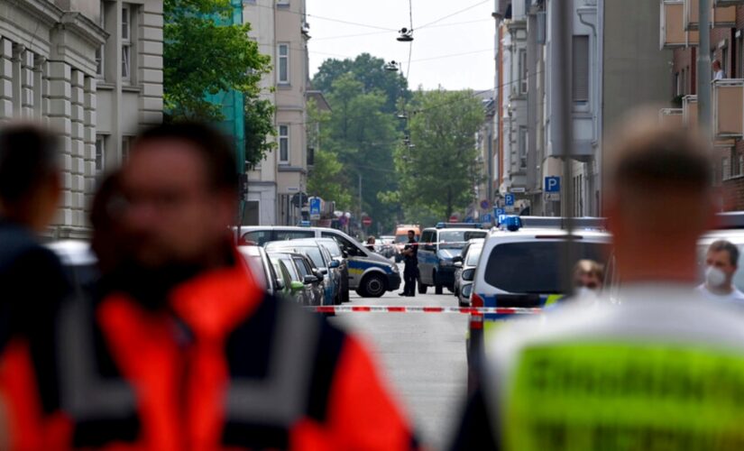 School attack in Germany leaves 1 person wounded, 1 detained