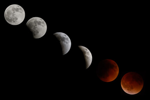 Total lunar eclipse: ‘Blood moon’ phenomenon dazzles skywatchers