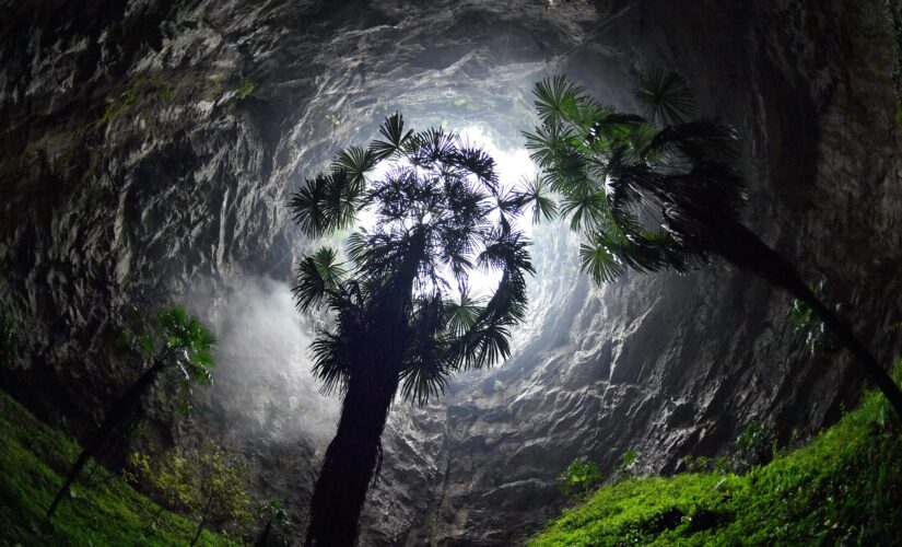 Southern China sinkhole discovered, home to towering ancient trees