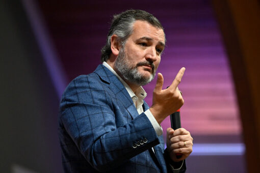 Cruz blames Supreme Court abortion leak on Democratic Party’s ‘vicious partisan politicking’