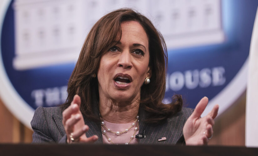 Harris claims overturning Roe v. Wade ‘opens the door to restricting’ other rights like gay marriage