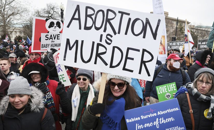 Pro-life Democrats sound off on Supreme Court leak, distance themselves from national party leaders