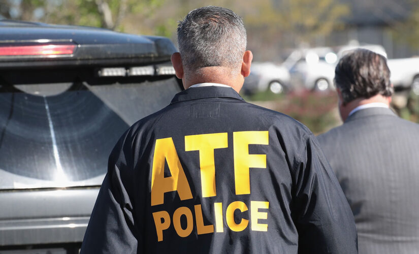 Gun rights group’s ATF report accuses agency of making ‘illegal gun registry’ as Cruz takes aim in Senate