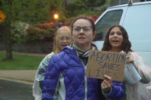 McConnell, Grassley slam protests outside justices’ homes, say lawbreakers ‘must be held accountable’