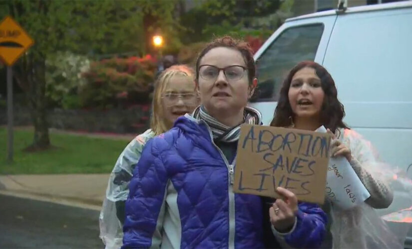 McConnell, Grassley slam protests outside justices’ homes, say lawbreakers ‘must be held accountable’