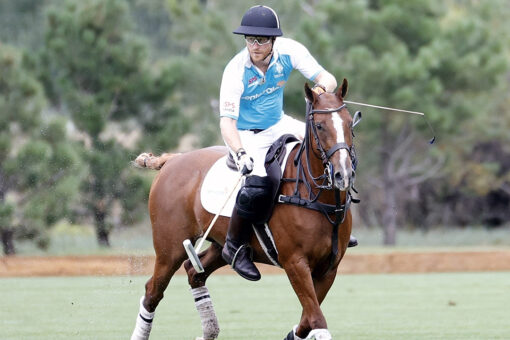 Prince Harry is treated like ‘one of the guys’ at polo matches in Santa Barbara: source