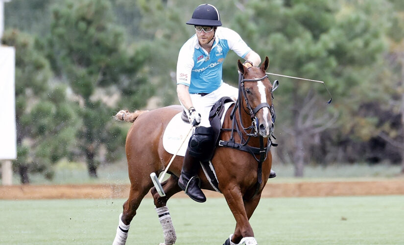 Prince Harry is treated like ‘one of the guys’ at polo matches in Santa Barbara: source