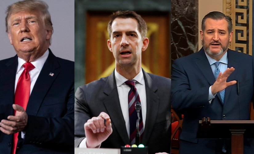 2024 presidential contenders weigh in on how Supreme Court leak may impact midterm elections