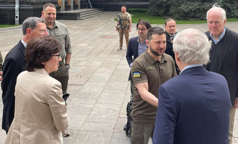 McConnell makes surprise trip to meet Zelenskyy in Ukraine
