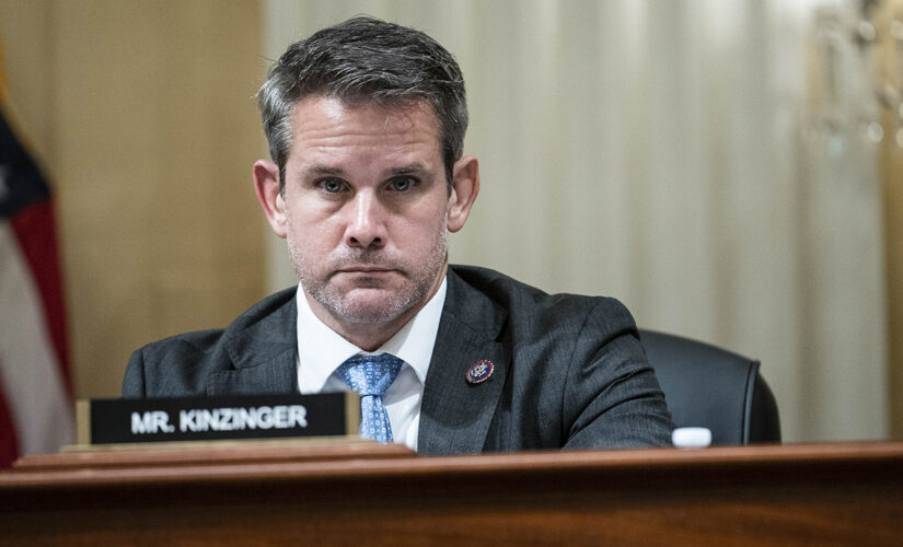 Republican Rep. Kinzinger says it would be ‘no-brainer’ to raise minimum age to buy a firearm to 21