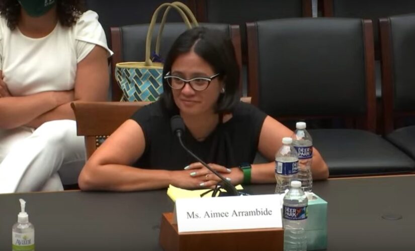 Dem witness tells House committee men can get pregnant, have abortions