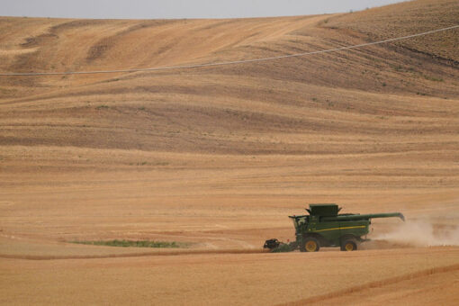 US to spotlight war-caused food insecurity at 2 UN events