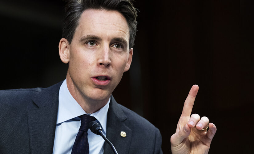 Hawley says Americans are not ‘confused’ about disinfo board, it’s about ‘censorship’