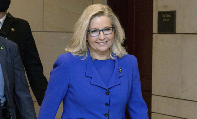 Wyoming Congresswoman Liz Cheney announces bid for re-election, faces steep opposition from party leadership