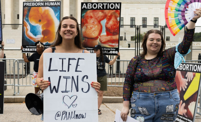 Republican senators introduce pro-life resolution celebrating Supreme Court abortion case: ‘Historic victory’