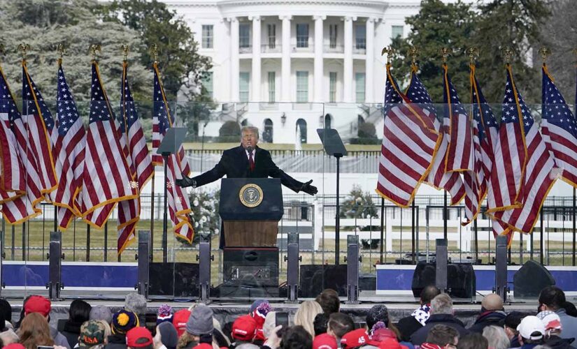 Trump lunged at Secret Service agent after being told he couldn’t go to Capitol on January 6: aide