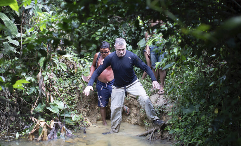 Brazil police arrest third suspect in murder of British journalist and indigenous expert