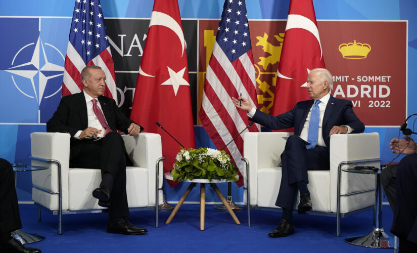 Turkey’s Erdogan tells Biden he is working to secure a ‘balanced’ grain export agreement with Russia