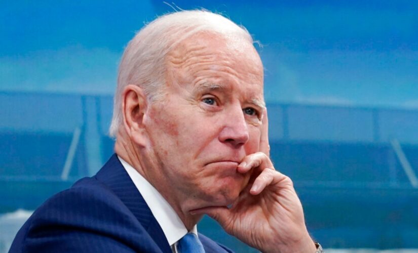 Democrats grumble openly about Biden’s age, effectiveness as 2024 presidential election looms