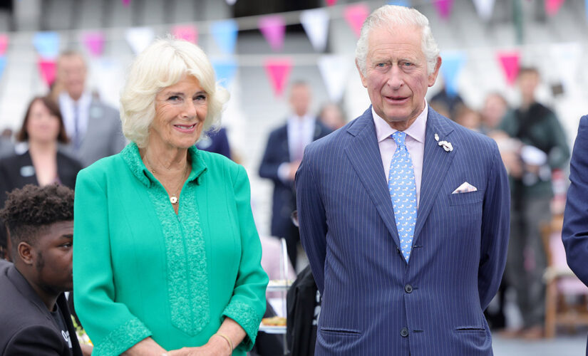 Prince Charles and Camilla, Duchess of Cornwall toast to Queen Elizabeth at Big Jubilee Lunch