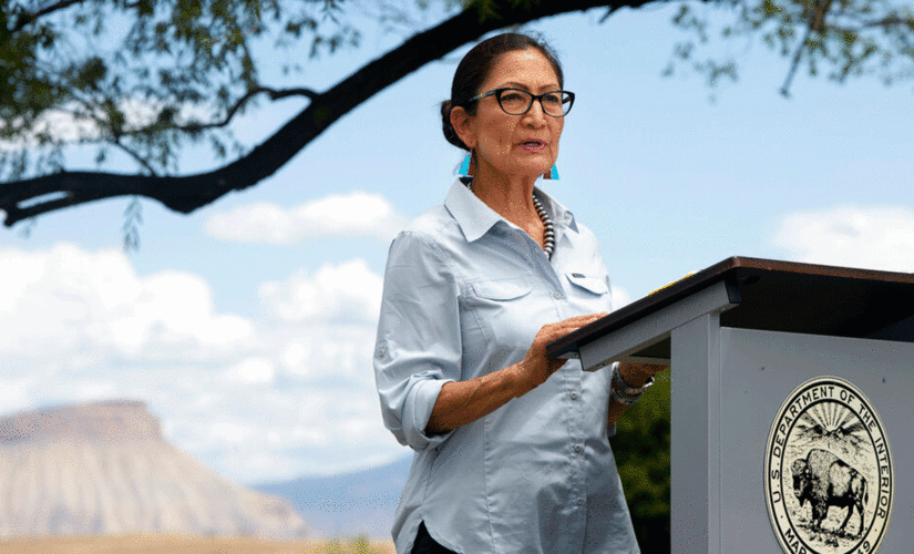 Biden’s Interior Secretary Deb Haaland is latest cabinet member to test positive for COVID-19