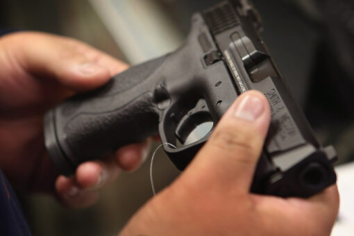Amid gun control debate, American minorities discuss uptick in firearm purchases: ‘People are waking up’