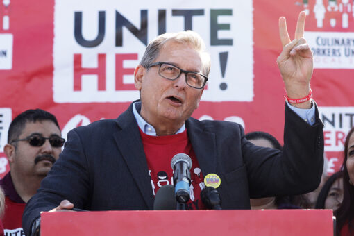 Union boss discusses plans to support Democrats who have ‘opportunity to win,’ says GOP lacks ‘credibility’