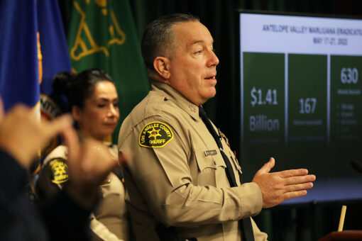 California election results: LA Sheriff Villanueva, who defied defunders, heads to November runoff