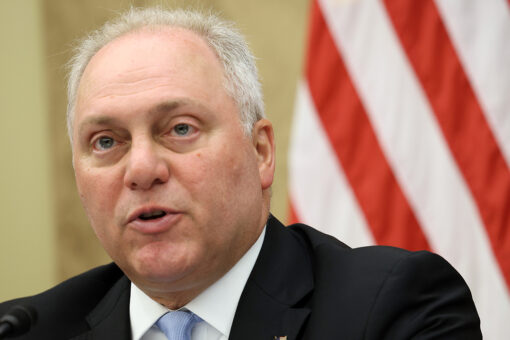 Scalise blasts Dems for rushing to call for gun control after shootings, blames liberal DAs for rising crime