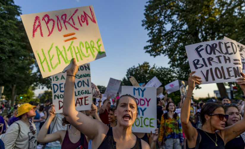 Abortion ruling: Pro-choice protesters list ways to counter Supreme Court ruling