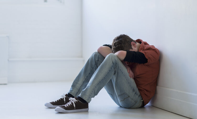 Pediatricians recommend all adolescents be screened for suicide risk