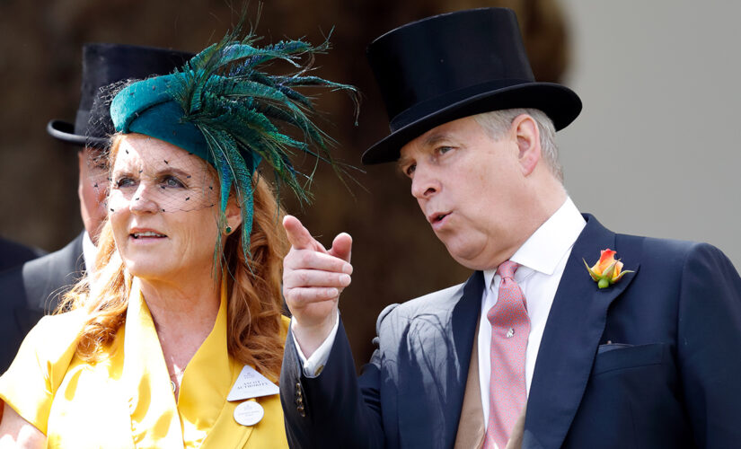 Prince Andrew’s ex Sarah Ferguson says she would marry the disgraced Duke of York again: ‘I will stand by him’