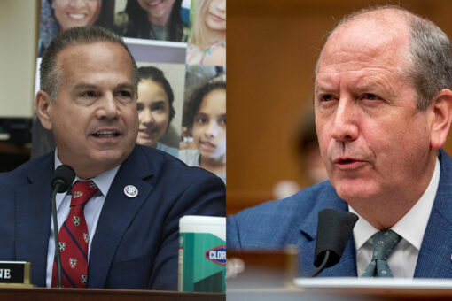 Lawmakers clash over Constitution, gun rights in heated House hearing