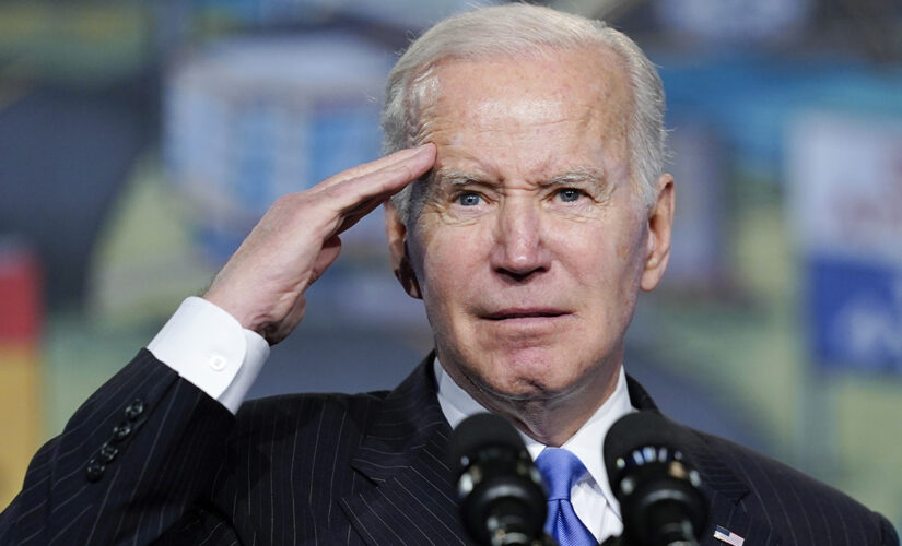 Biden approval rating founders in multiple polls amid Democratic doubts about 2024