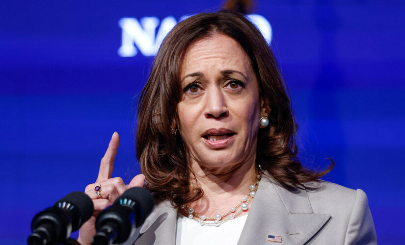 Kamala Harris breaks silence on 53 Texas migrant deaths, says Abbott ‘went straight to politics’