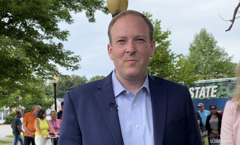 New York showdown: Rep. Lee Zeldin wins Republican gubernatorial nomination