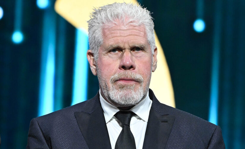 Ron Perlman slammed for deleted tweet saying Supreme Court gun decision ‘for whites only’