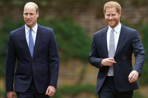 Prince Harry’s interview about royal family still a ‘very bitter pill to swallow’ for Prince William: expert