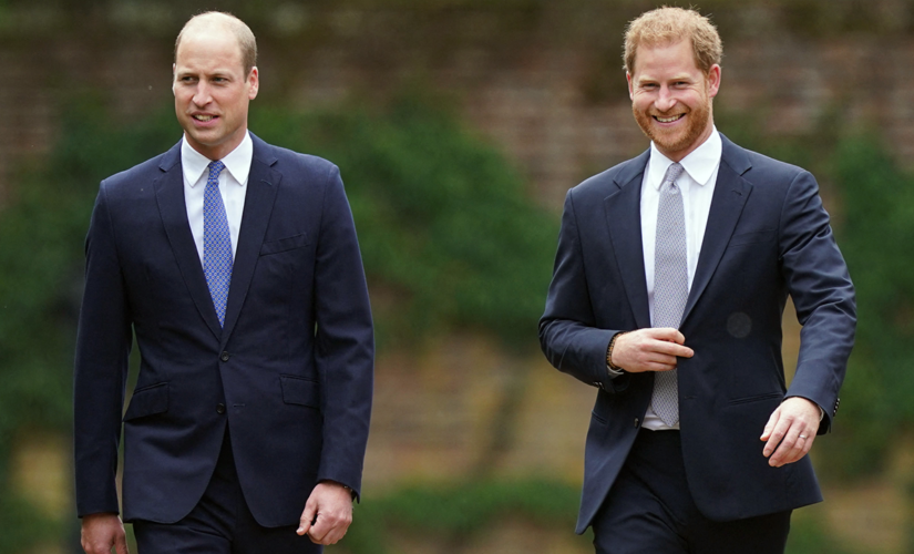 Prince Harry’s interview about royal family still a ‘very bitter pill to swallow’ for Prince William: expert