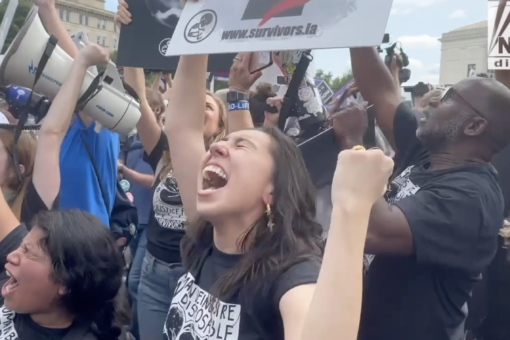 Roe v. Wade overturned, activists outside Supreme Court react to historic decision
