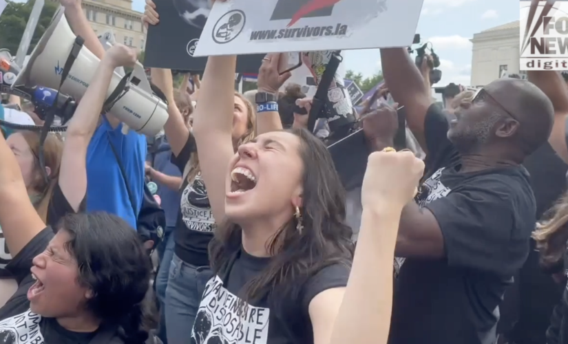 Roe v. Wade overturned, activists outside Supreme Court react to historic decision