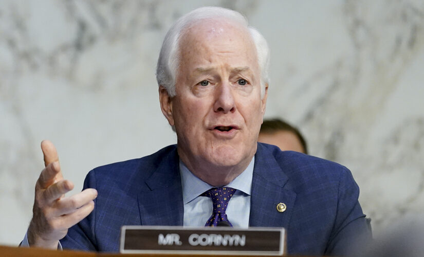 Texas Sen. John Cornyn booed by crowd at state GOP convention while negotiating gun control bill