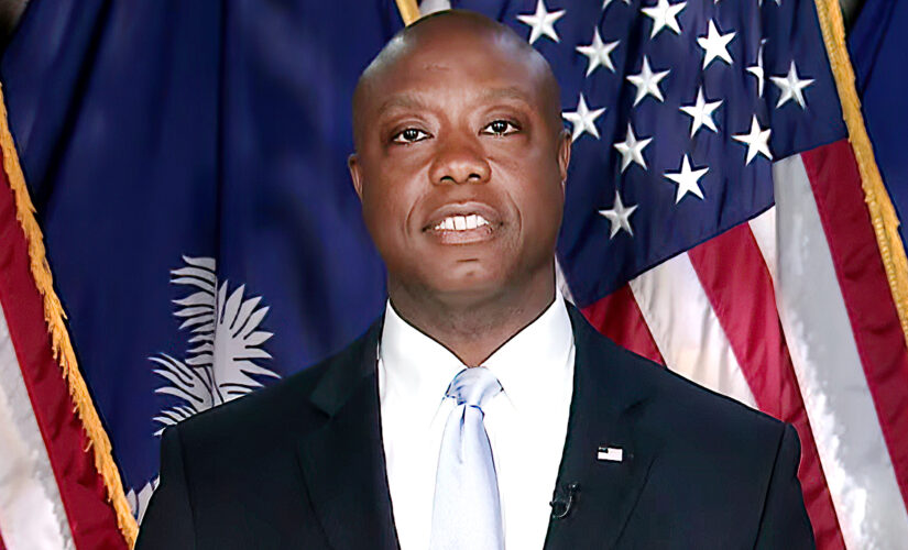 Tim Scott predicts GOP will flip House, Senate, says Republicans ‘party of inclusion’