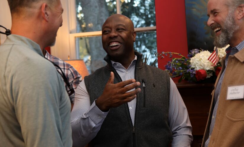 South Carolina Sen. Tim Scott says GOP push to win back House and Senate majorities ‘a team sport’