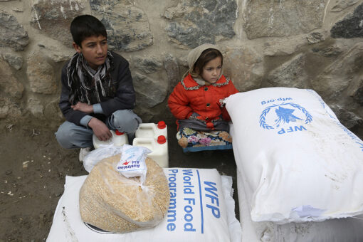 Russia-induced global food crisis pushes 49M to ‘brink’ of famine, starvation: expert warns