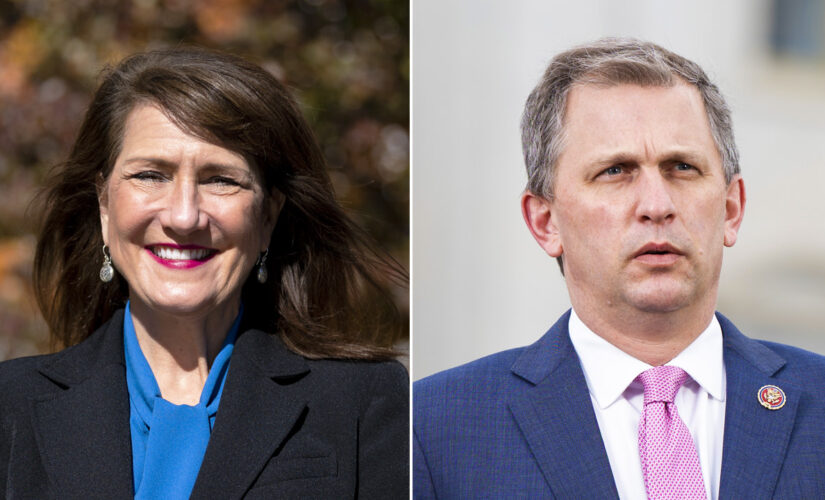 Rep. Sean Casten defeats AOC ally Rep. Marie Newman in Illinois Democratic congressional primary