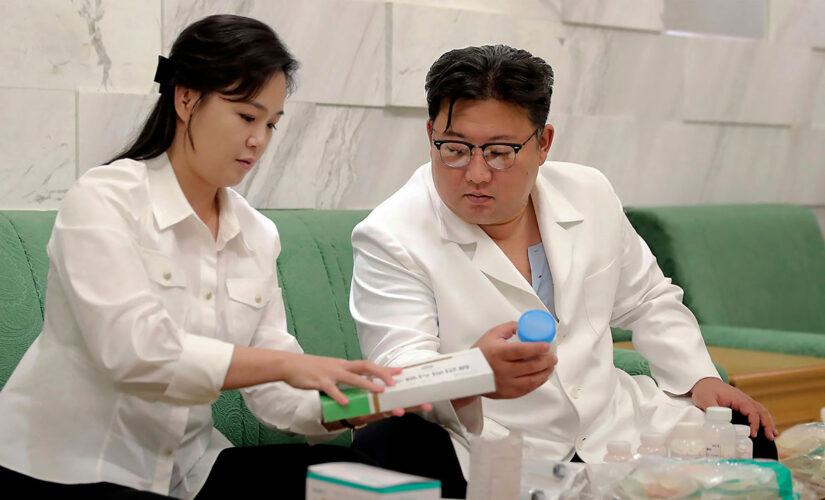 North Korea reports another disease outbreak amid COVID-19 wave