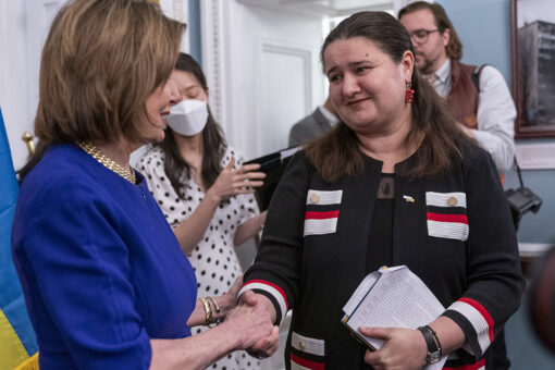 Ukraine feels no pressure from allies on peace talks with Russia: ambassador