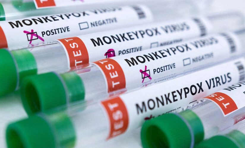 What to do if you get Monkeypox: Symptoms, vaccinations, and treatments